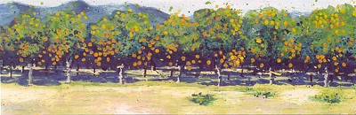 Kate Gallery